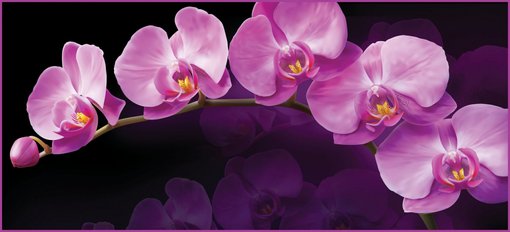Фотообои А002 Зеркальная орхидея 294х134 см